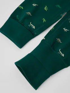 Pyjamassett dinosaurer
