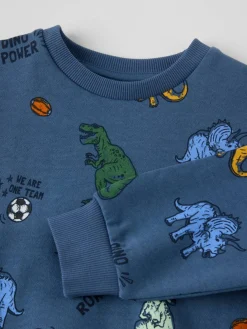 Sweatshirt dinosaurer